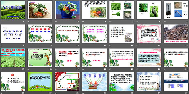 图片[2]-《父亲的菜园》PPT课件5-第一PPT