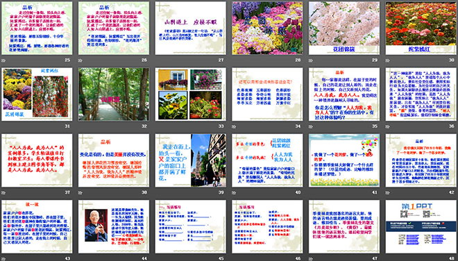 图片[3]-自己的花是让别人看的-第一PPT