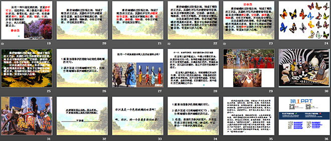 图片[3]-《彩色的非洲》PPT课件4-第一PPT