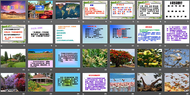 图片[2]-《彩色的非洲》PPT课件6-第一PPT