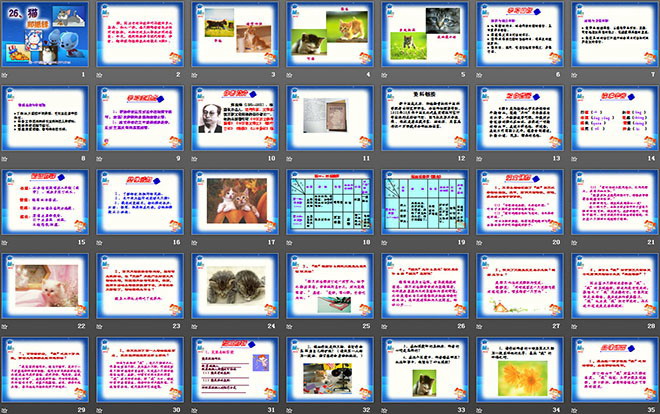 图片[2]-《猫》PPT课件-第一PPT