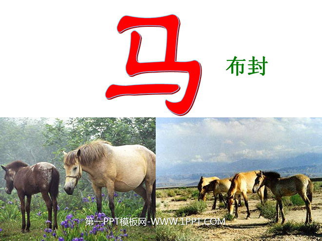 图片[1]-《马》PPT课件4-第一PPT