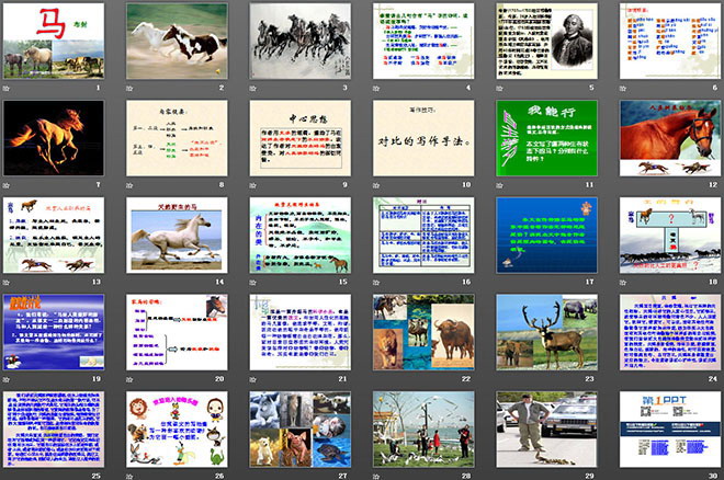 图片[2]-《马》PPT课件4-第一PPT
