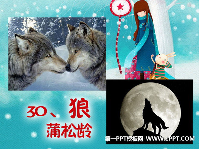 图片[1]-《狼》PPT课件5-第一PPT