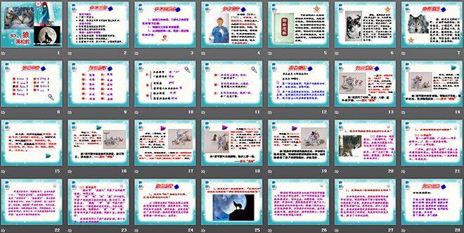图片[2]-《狼》PPT课件5-第一PPT
