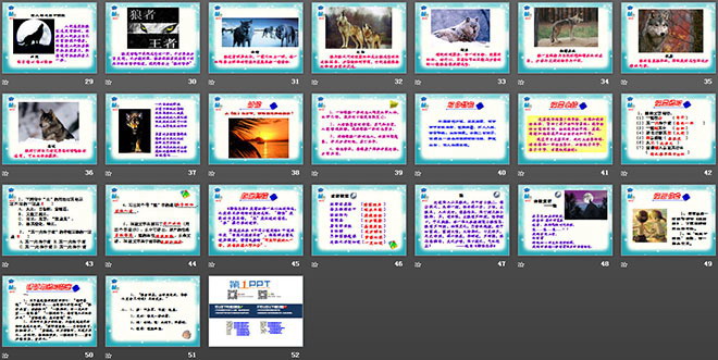 图片[3]-《狼》PPT课件5-第一PPT