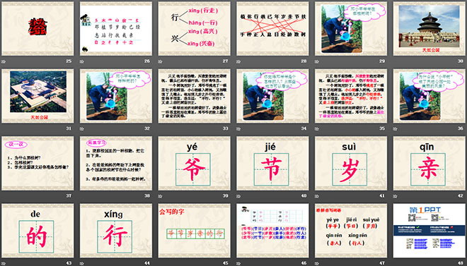 图片[3]-《邓小平爷爷植树》PPT课件3-第一PPT
