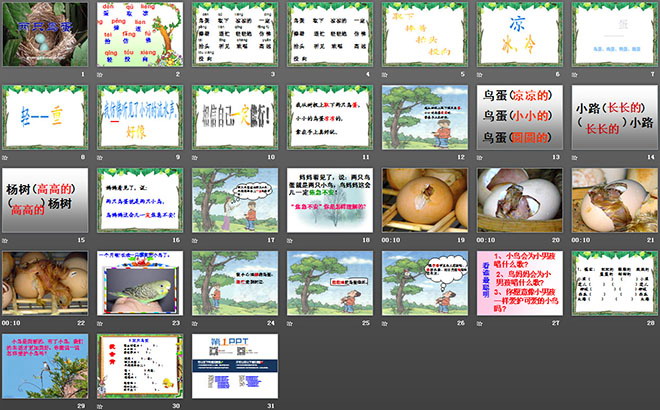图片[2]-两只鸟蛋-第一PPT