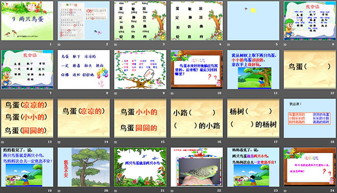 图片[2]-《两只鸟蛋》PPT课件7-第一PPT