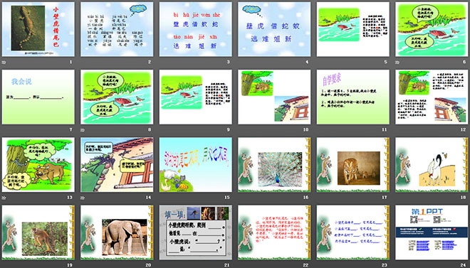 图片[2]-《小壁虎借尾巴》PPT课件5-第一PPT