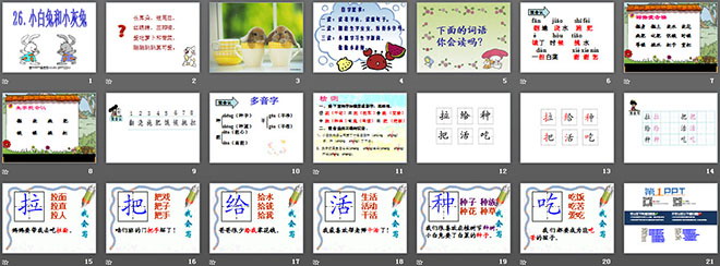 图片[2]-《小白兔和小灰兔》PPT课件4-第一PPT