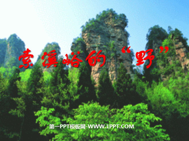 图片[1]-《索溪峪的“野”》PPT课件下载5-第一PPT