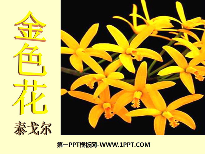 图片[1]-《诗两首-金色花》PPT课件4-第一PPT