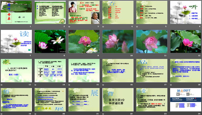 图片[2]-《荷叶母亲》PPT课件3-第一PPT