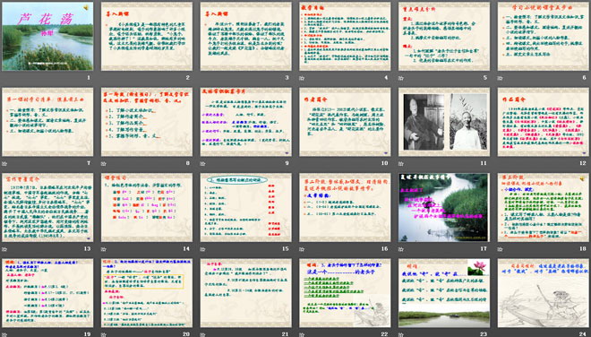 图片[2]-《芦花荡》PPT课件3-第一PPT