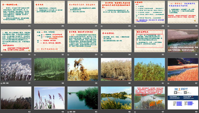 图片[3]-《芦花荡》PPT课件3-第一PPT