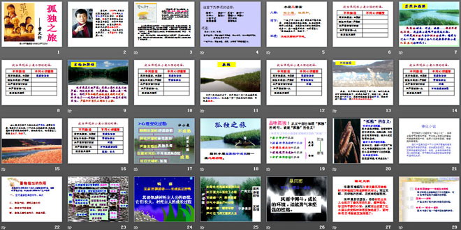 图片[2]-《孤独之旅》PPT课件3-第一PPT