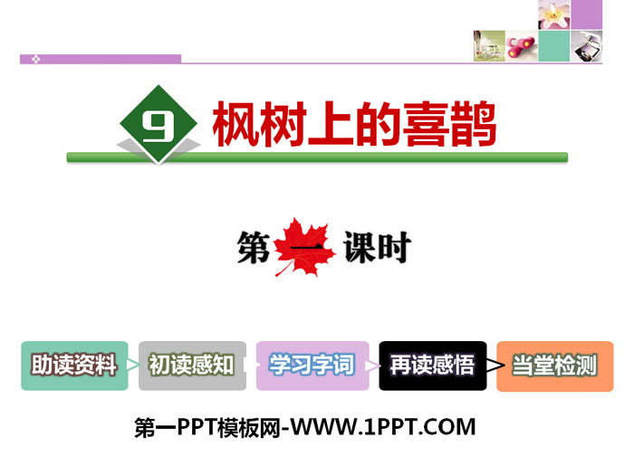 图片[1]-《枫树上的喜鹊》PPT课件(第一课时)-第一PPT