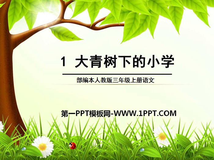 图片[1]-《大青树下的小学》PPT-第一PPT