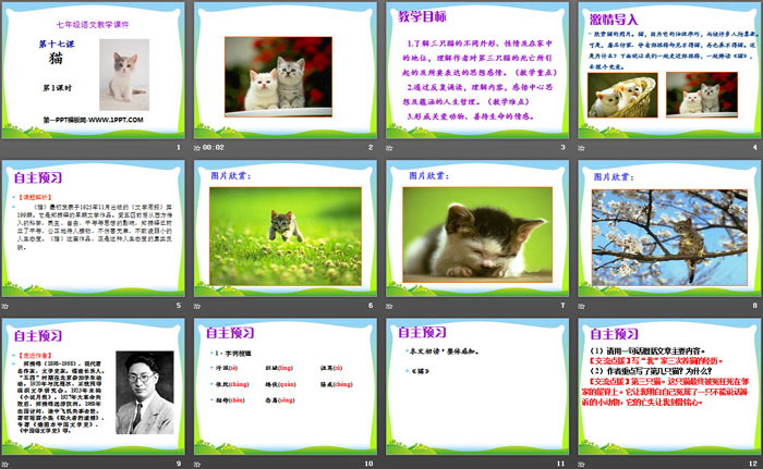图片[2]-《猫》PPT(第一课时)-第一PPT