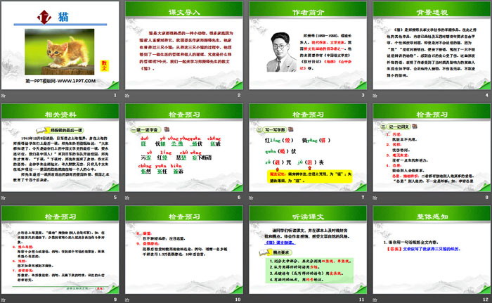 图片[2]-《猫》PPT下载-第一PPT