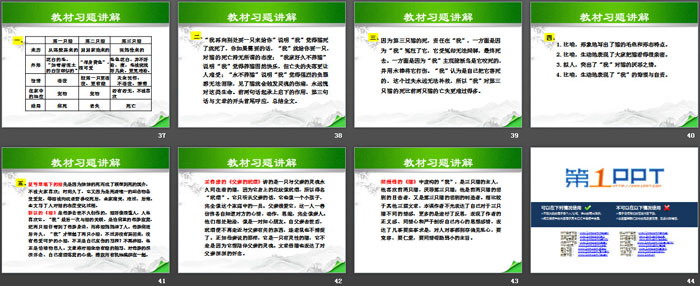图片[5]-《猫》PPT下载-第一PPT