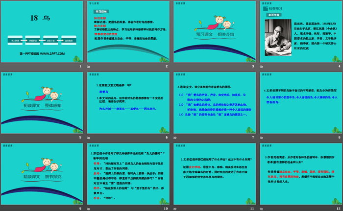 图片[2]-《鸟》PPT下载-第一PPT