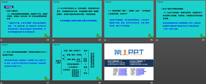 图片[3]-《鸟》PPT下载-第一PPT