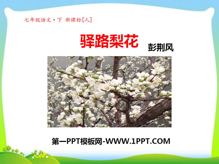 图片[1]-《驿路梨花》PPT课件-第一PPT