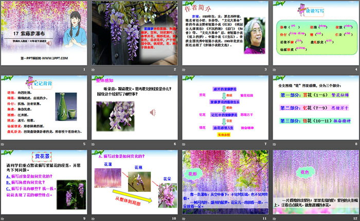 图片[2]-《紫藤萝瀑布》PPT-第一PPT