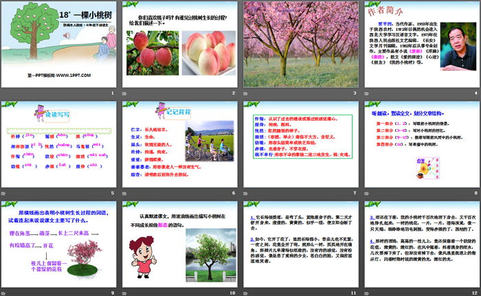 图片[2]-《一棵小桃树》PPT-第一PPT