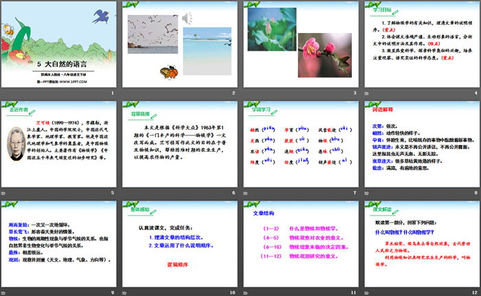 图片[2]-《大自然的语言》PPT-第一PPT