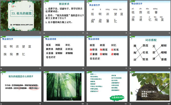 图片[2]-《祖先的摇篮》PPT下载-第一PPT