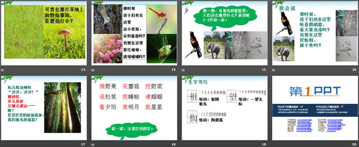 图片[3]-《祖先的摇篮》PPT下载-第一PPT