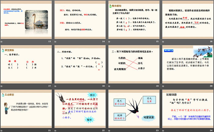 图片[3]-《燕子》PPT-第一PPT