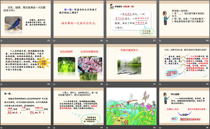 图片[4]-《燕子》PPT-第一PPT