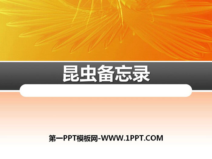 图片[1]-《昆虫备忘录》PPT-第一PPT