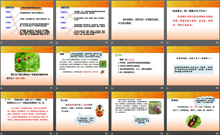 图片[3]-《昆虫备忘录》PPT-第一PPT