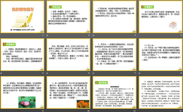 图片[2]-《我的植物朋友》PPT-第一PPT