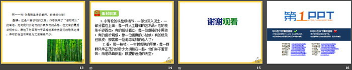 图片[3]-《我的植物朋友》PPT-第一PPT