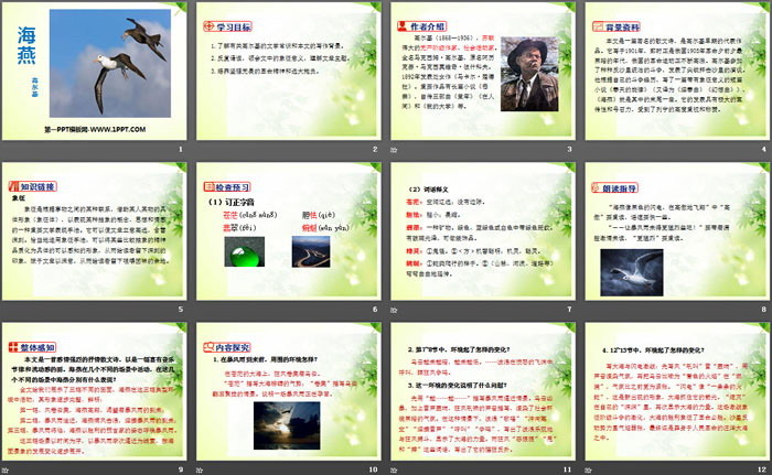 图片[2]-《海燕》PPT免费下载-第一PPT