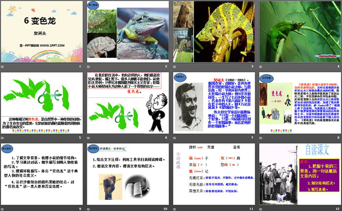 图片[2]-《变色龙》PPT免费教学课件-第一PPT