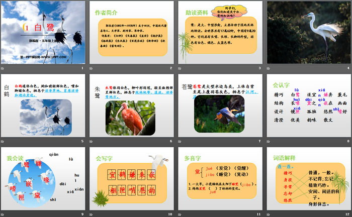 图片[2]-《白鹭》PPT-第一PPT