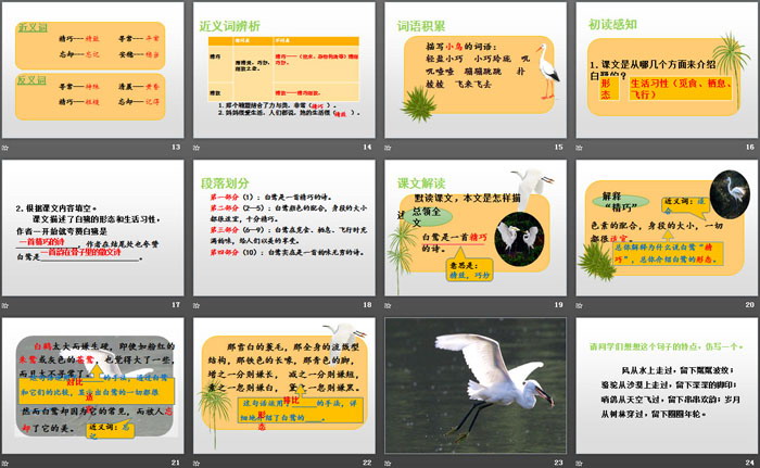 图片[3]-《白鹭》PPT-第一PPT