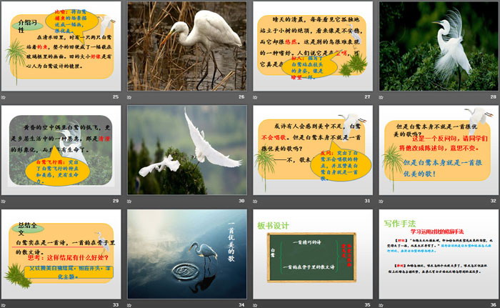 图片[4]-《白鹭》PPT-第一PPT