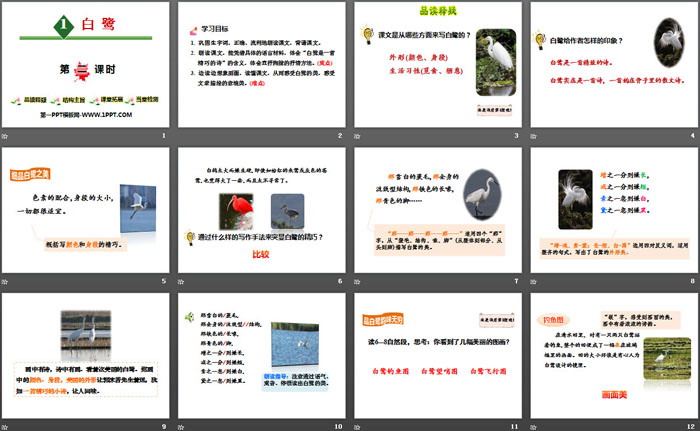 图片[2]-《白鹭》第二课时PPT-第一PPT