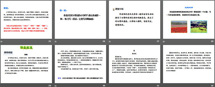图片[4]-《白鹭》第二课时PPT-第一PPT