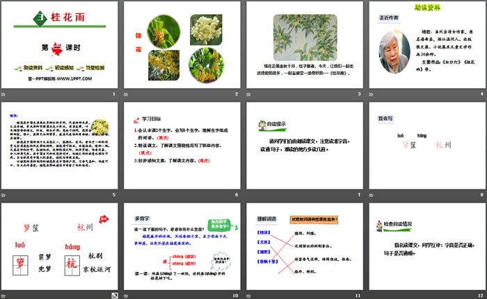 图片[2]-《桂花雨》PPT-第一PPT
