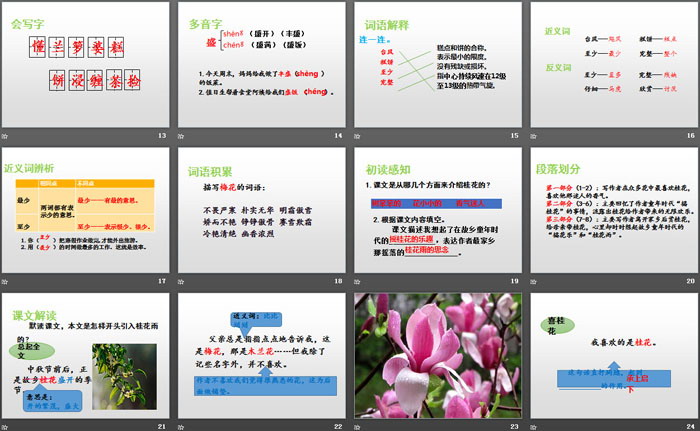 图片[3]-《桂花雨》PPT教学课件-第一PPT