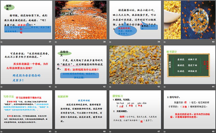 图片[5]-《桂花雨》PPT教学课件-第一PPT